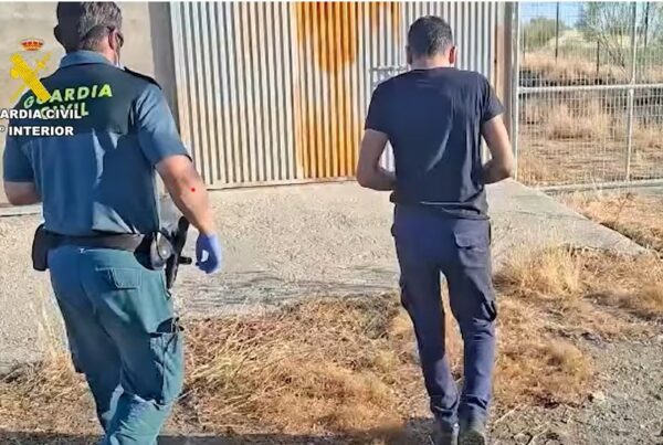 Guardia Civil halla 32 galgos muertos